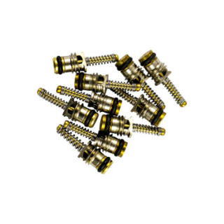 KIT DE 10 VÁLVULAS PARA REF. 53599 - 6X19 MM