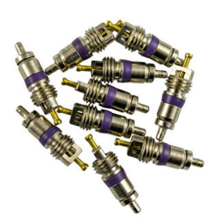 KIT DE 10 VÁLVULAS PARA REF. 53599 - 6X26 MM