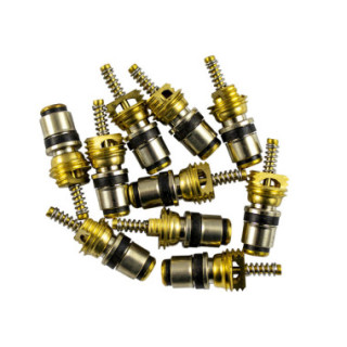 KIT DE 10 VÁLVULAS PARA REF. 53599 - 8X22 MM