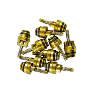 KIT DE 10 VÁLVULAS PARA REF. 53599 - 9X22 MM