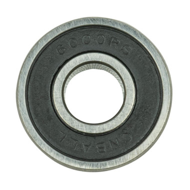 ROLAMENTO (NO. 60040)